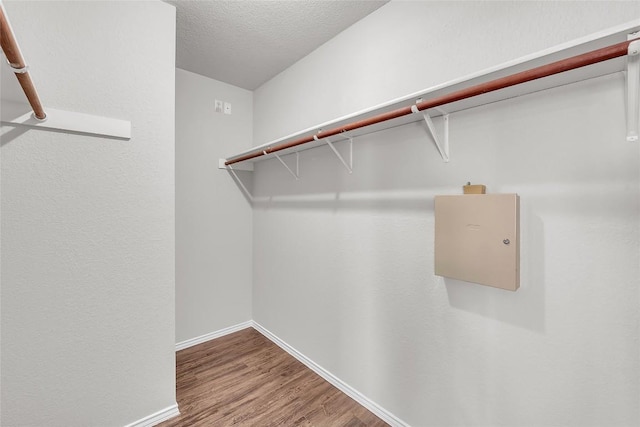 100 Grant Cv, Hutto, TX 78634 - spacious closet with wood finished floors