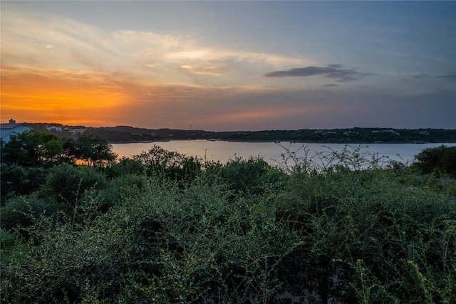 164 Lakefront Dr, Lago Vista, TX 78645 - photo 38