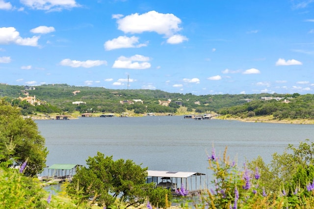 164 Lakefront Dr, Lago Vista, TX 78645 - photo 33