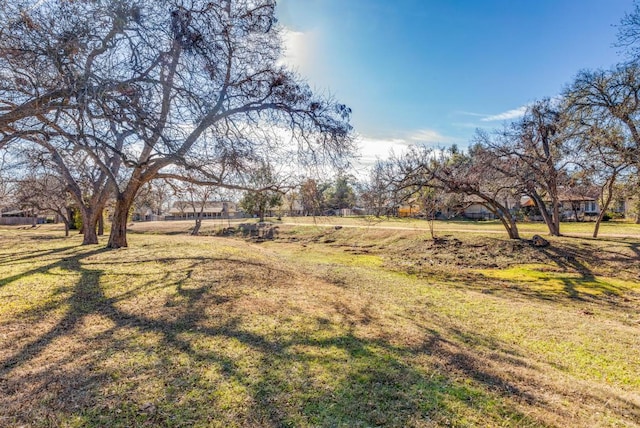 10616 Mellow Mdws Unit 17A, Austin, TX 78750 - view of grassy yard