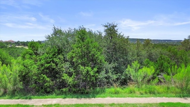 8413 Kelly Cv, Lago Vista, TX 78645
