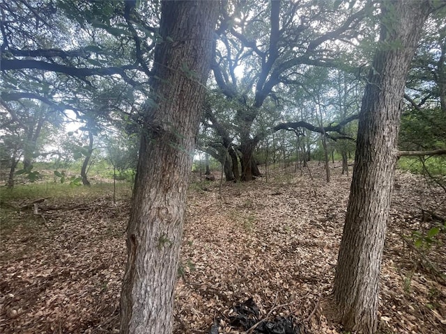 TBD Buffalo Trail, Kingsland, TX 78639