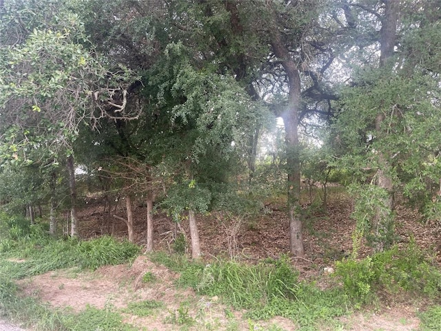 TBD Buffalo Trail, Kingsland, TX 78639