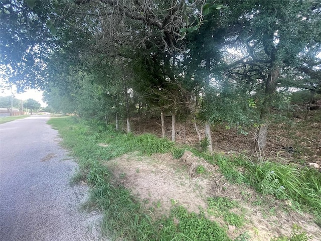 TBD Buffalo Trail, Kingsland, TX 78639