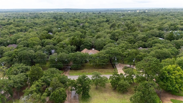 230 Cedar Hills Dr, Elgin, TX 78621 - drone / aerial view of a forest