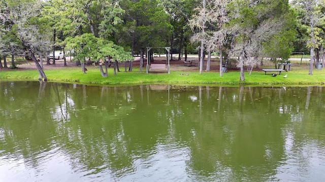 230 Cedar Hills Dr, Elgin, TX 78621 - water view