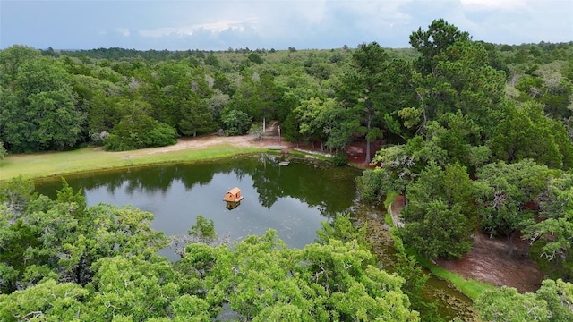 230 Cedar Hills Dr, Elgin, TX 78621 - aerial overview of property's location with a large body of water