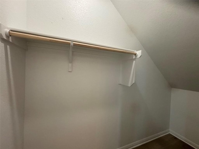 627 Palo Brea Loop, Hutto, TX 78634 - spacious closet with vaulted ceiling
