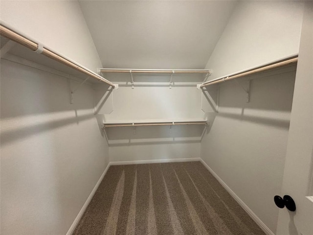 627 Palo Brea Loop, Hutto, TX 78634 - walk in closet with carpet floors and vaulted ceiling