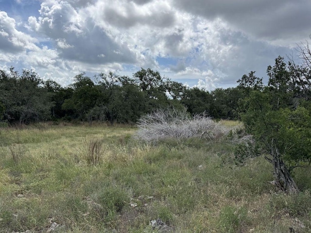 600 Summit Pass, San Marcos, TX 78666 - photo 8