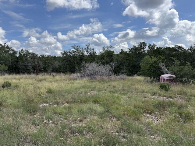 600 Summit Pass, San Marcos, TX 78666 - photo 4