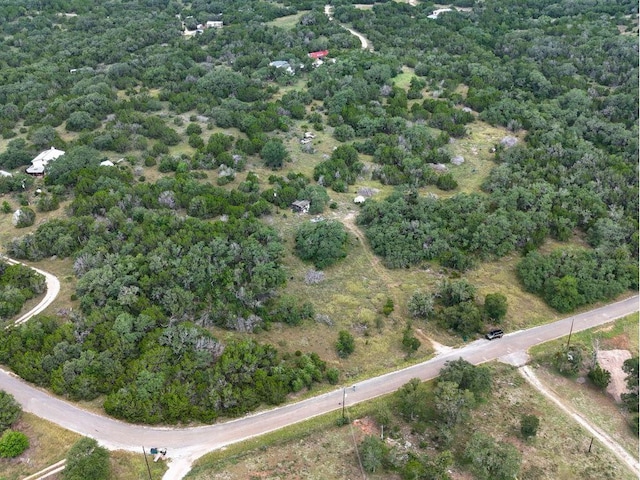 600 Summit Pass, San Marcos, TX 78666 - photo 5