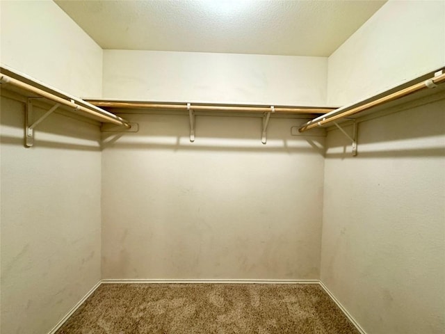 219 Memory Ln, Harker Heights, TX 76548 - spacious closet with carpet