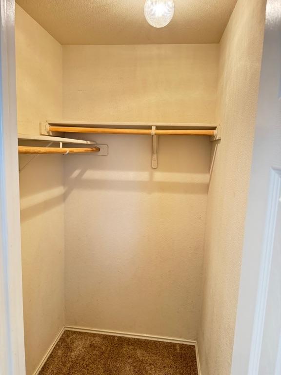 219 Memory Ln, Harker Heights, TX 76548 - walk in closet with carpet flooring