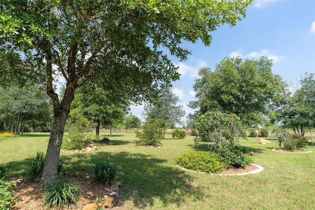 194 Rabbit Trl, Dale, TX 78616 - view of green lawn