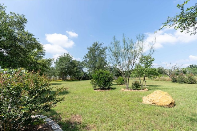 194 Rabbit Trl, Dale, TX 78616 - view of grassy yard