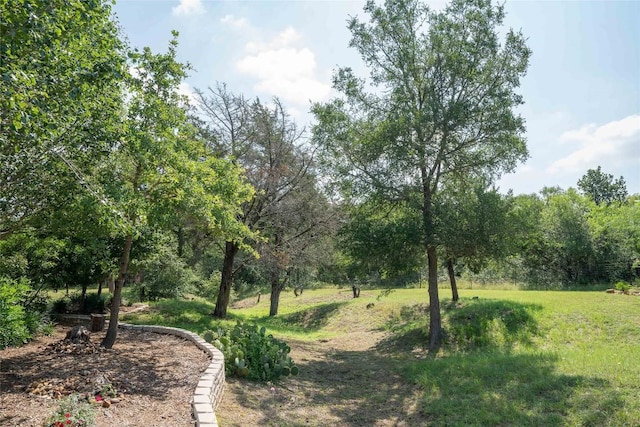 194 Rabbit Trl, Dale, TX 78616 - view of yard