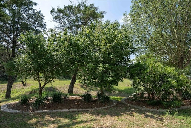 194 Rabbit Trl, Dale, TX 78616 - view of nature