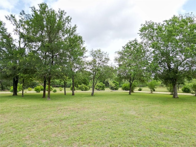 194 Rabbit Trl, Dale, TX 78616 - view of grassy yard