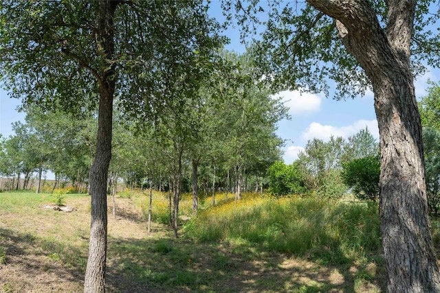 194 Rabbit Trl, Dale, TX 78616 - view of local wilderness