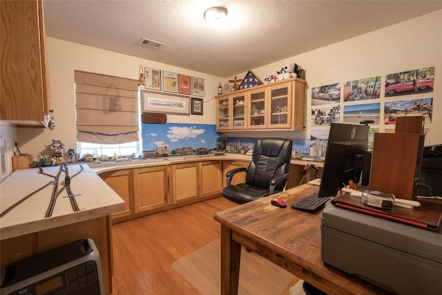 194 Rabbit Trl, Dale, TX 78616 - office with light wood-style flooring and a textured ceiling