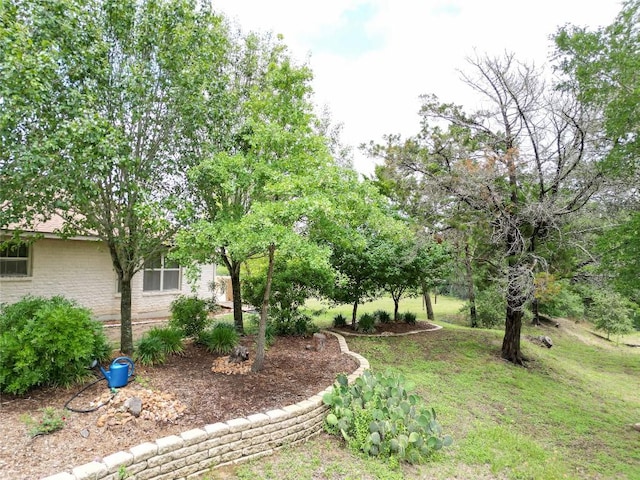 194 Rabbit Trl, Dale, TX 78616 - view of grassy yard