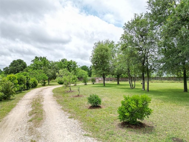 194 Rabbit Trl, Dale, TX 78616 - view of road