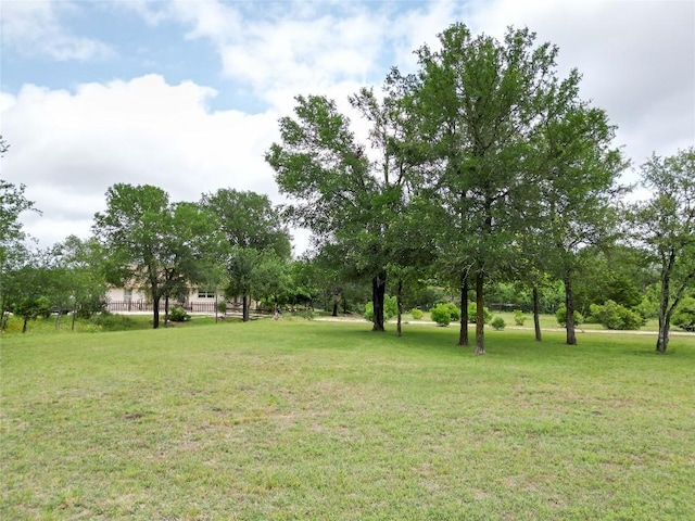 194 Rabbit Trl, Dale, TX 78616 - view of green lawn
