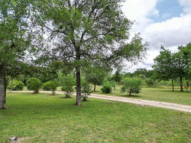 194 Rabbit Trl, Dale, TX 78616 - view of grassy yard