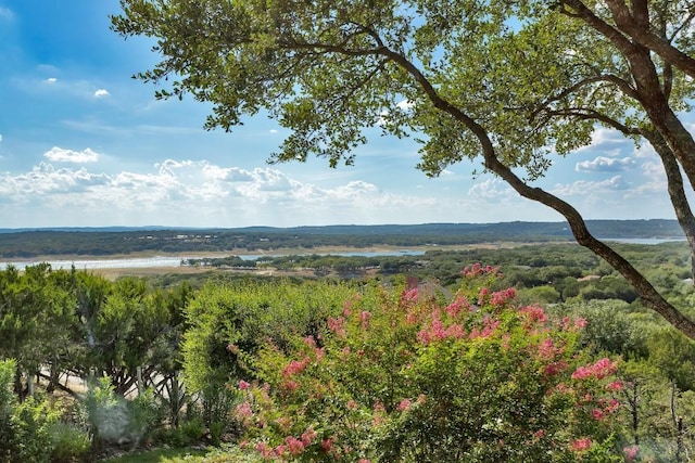 21013 Fawn Ridge Dr, Lago Vista, TX 78645 - view of mountain backdrop