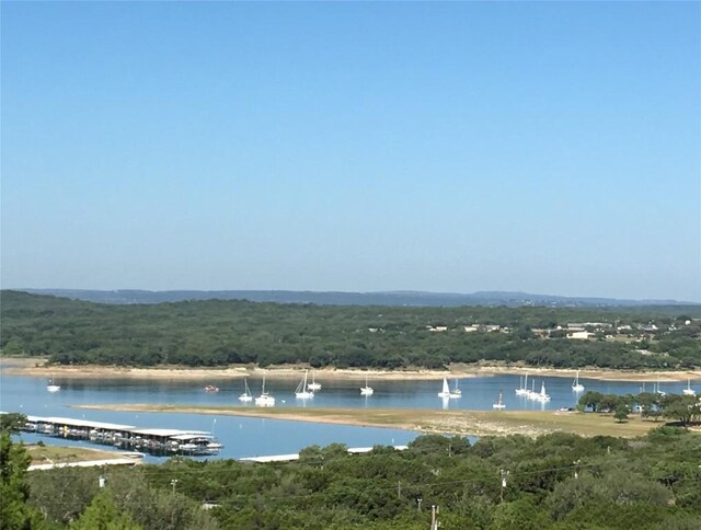 21013 Fawn Ridge Dr, Lago Vista, TX 78645 - water view with a forest