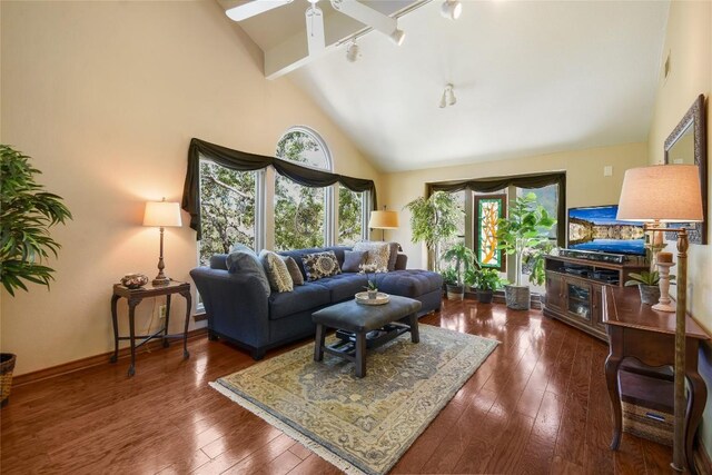 21013 Fawn Ridge Dr, Lago Vista, TX 78645 - living area with ceiling fan, wood-type flooring, and high vaulted ceiling