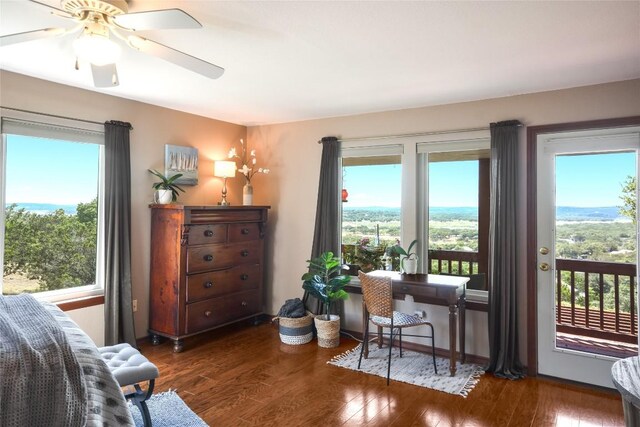 21013 Fawn Ridge Dr, Lago Vista, TX 78645 - bedroom with access to outside, hardwood / wood-style flooring, multiple windows, and a ceiling fan