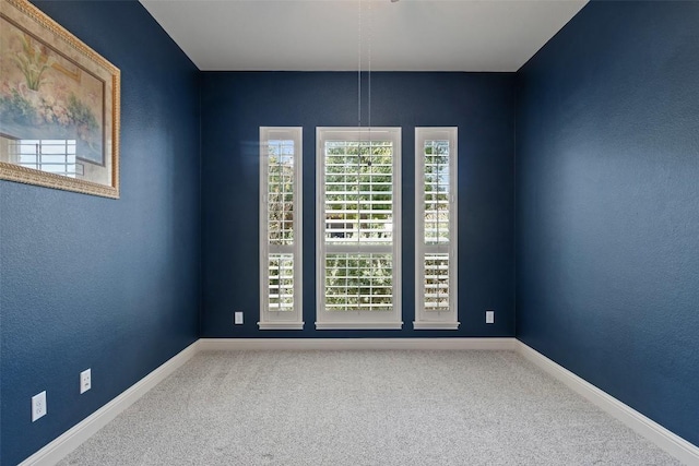 109 Feritti Dr, Austin, TX 78734 - photo 24
