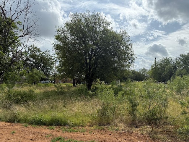 LOT458 Fir Ln, Cottonwood Shores, TX 78657