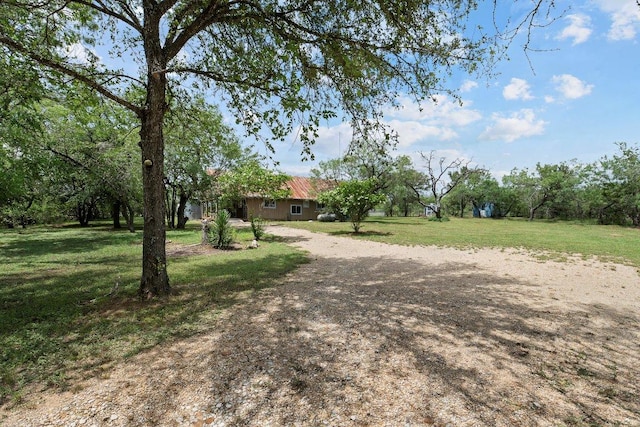 130 Anderson Ln, Red Rock, TX 78662 - view of green lawn
