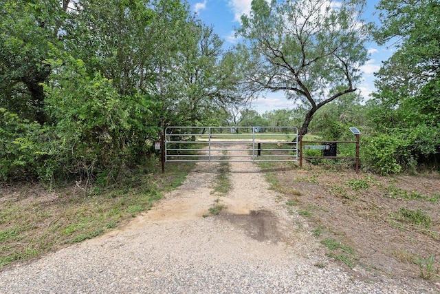 130 Anderson Ln, Red Rock, TX 78662 - view of road featuring a gate and a gated entry
