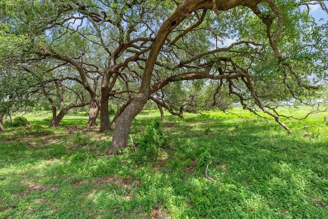TBD Watterson Rd, Red Rock, TX 78662