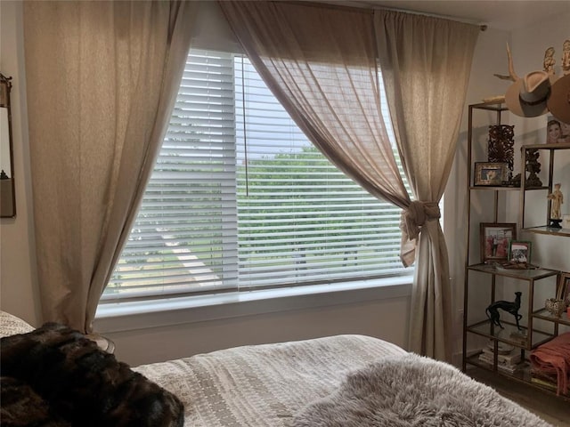 4216 Elevator Dr Unit 43, Austin, TX 78731 - photo 20