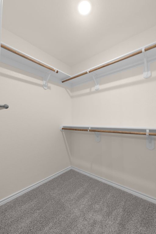 817 Coke Rd, Burnet, TX 78611 - spacious closet featuring carpet flooring