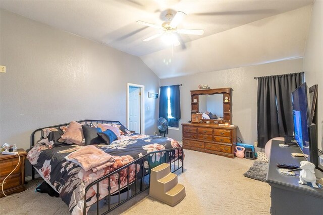 412 Mulberry St, Lometa, TX 76853 - photo 10