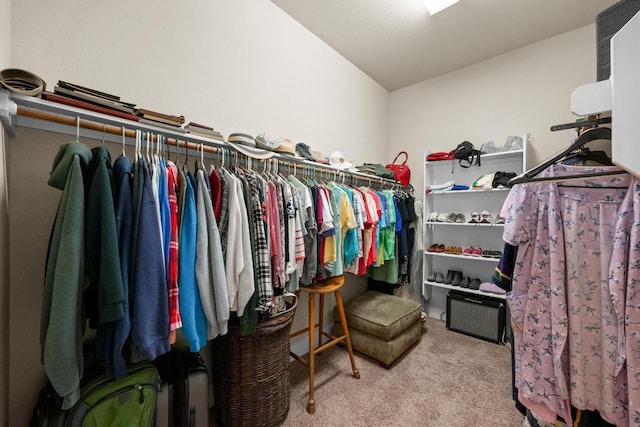 29 Prestonwood Cir, Lakeway, TX 78734 - spacious closet with carpet flooring