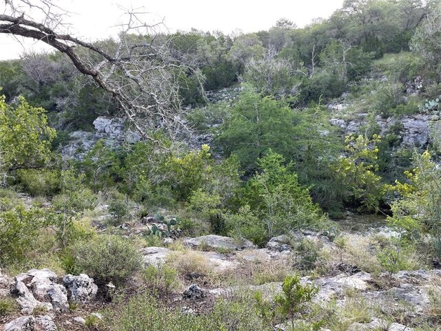 4817 Little Creek Trl, Spicewood, TX 78669 - photo 8