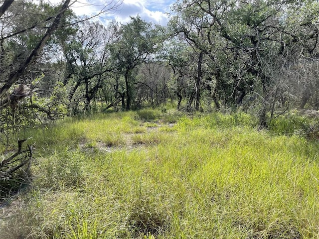4817 Little Creek Trl, Spicewood, TX 78669 - photo 5