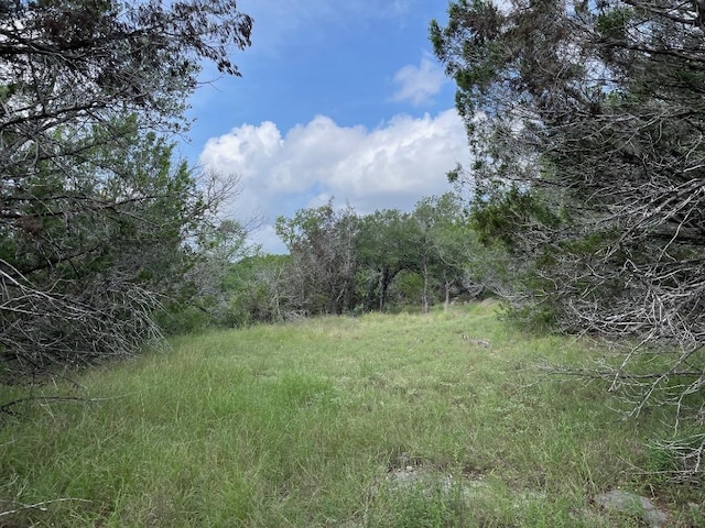 4817 Little Creek Trl, Spicewood, TX 78669 - photo 4