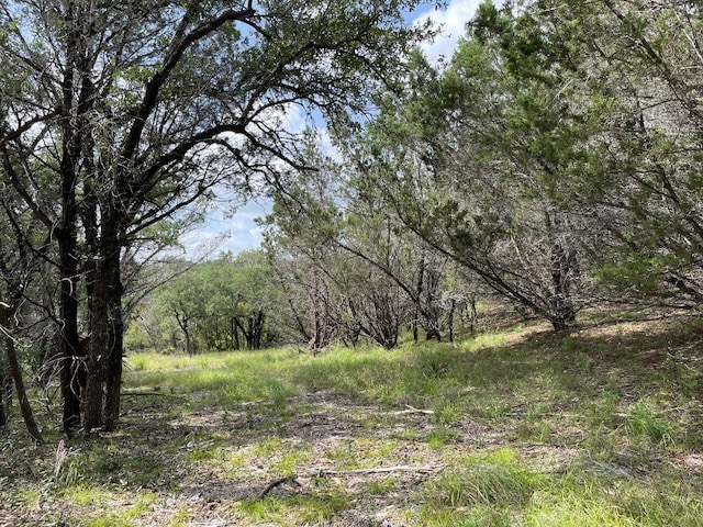 4817 Little Creek Trl, Spicewood, TX 78669 - photo 7
