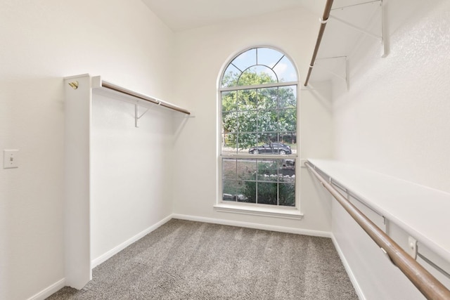 11208 Cedarcliffe Dr, Austin, TX 78750 - walk in closet featuring carpet flooring