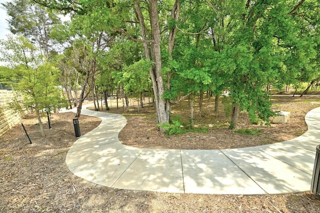 4801 Springdale Dr Unit 2010, Austin, TX 78723 - view of community with view of wooded area