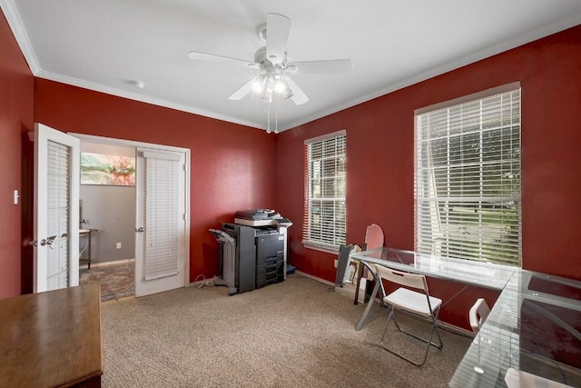 118 Floating Leaf Dr, Hutto, TX 78634 - photo 16