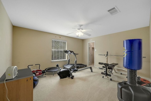 118 Floating Leaf Dr, Hutto, TX 78634 - photo 26